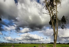 瓦拉多利德主场告捷，冲击前四名