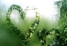 瓦拉多利德主场告捷，冲击前四名