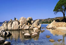 曼联势不可挡，大胜南安普顿